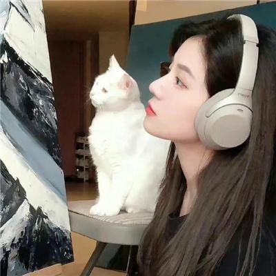 智慧风暴